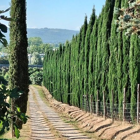 Camugnano Farm Villa Rapolano Terme Kültér fotó